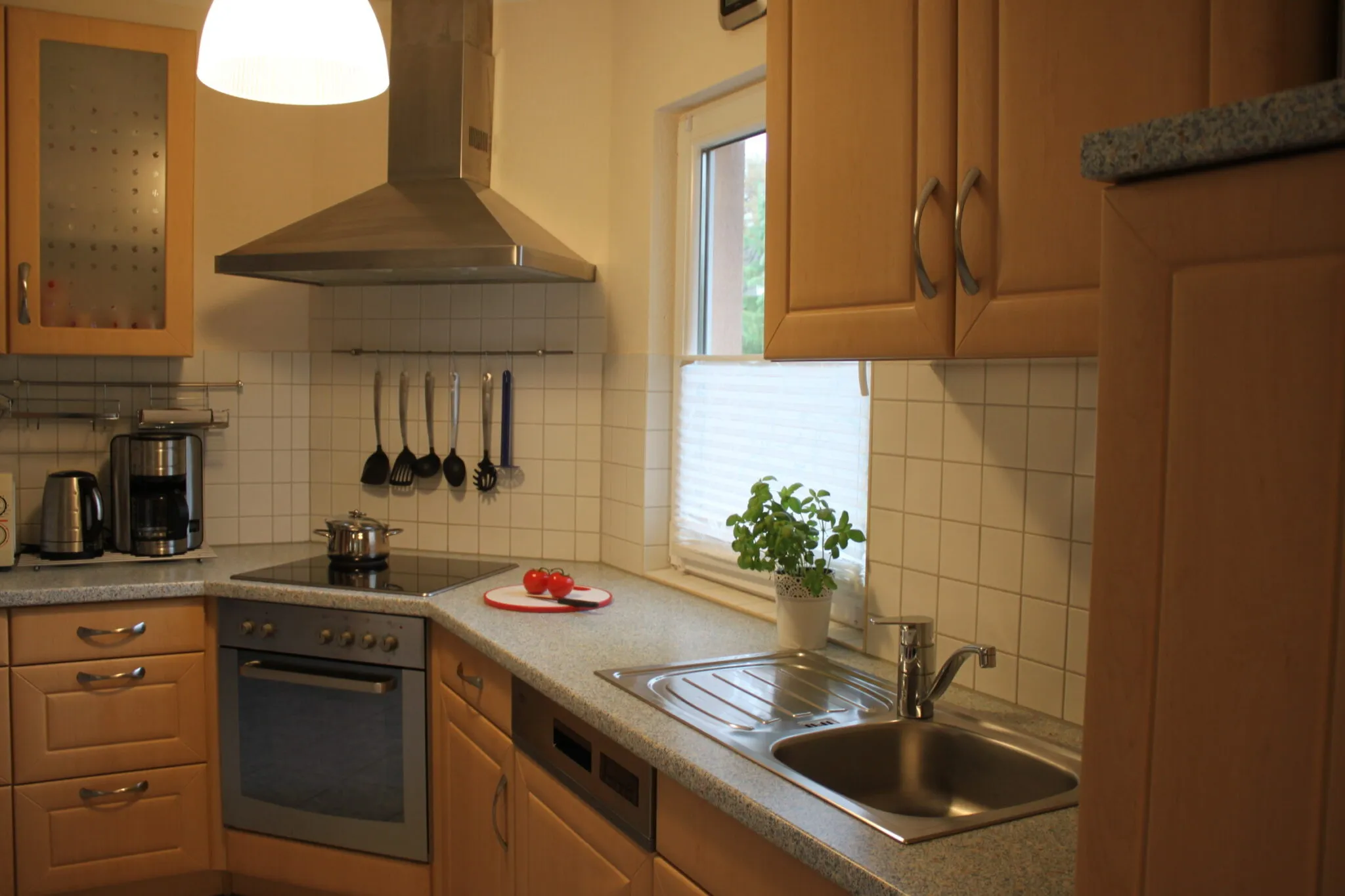 Einbauküche mit Herd, Backofen, Dunstabzug und Spüle am Fenster