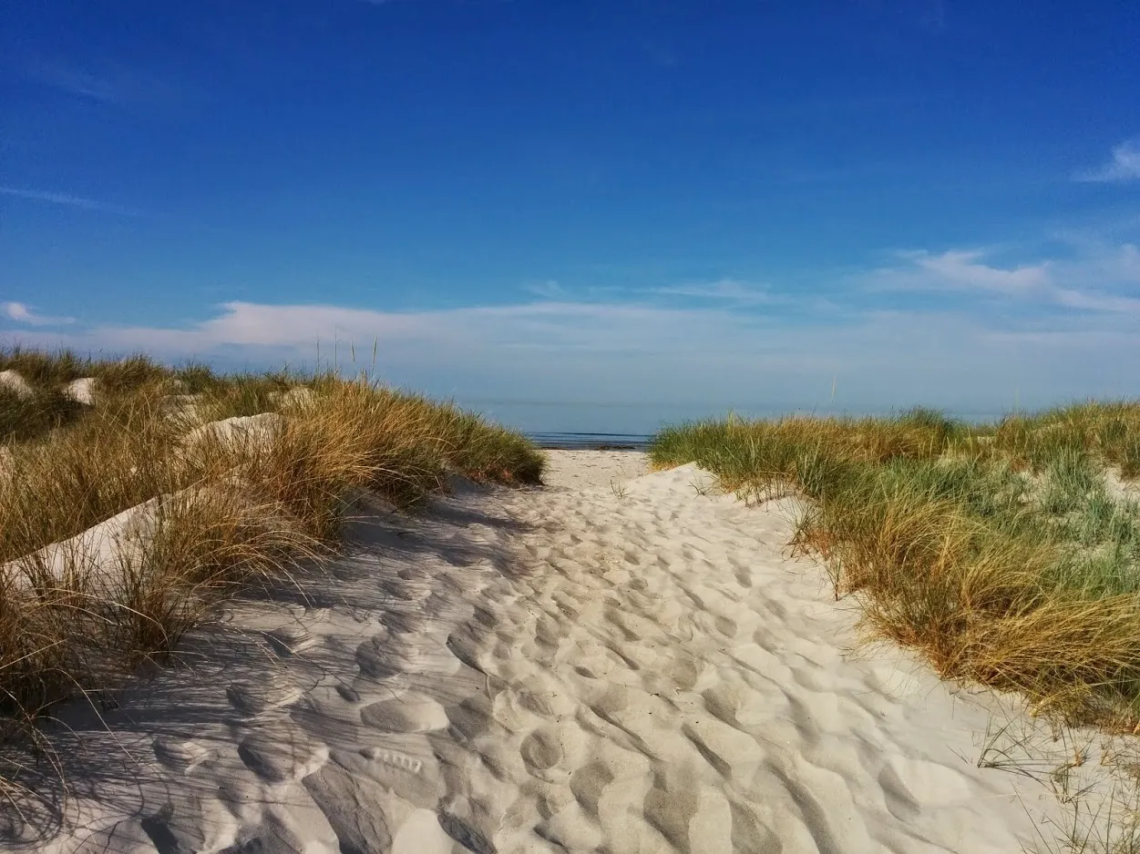 Sandweg durch die Dünen zum Ostseestrand